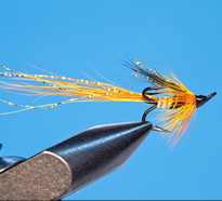 �������� ���� ������� Partridge Black � 14 Ally Shrimp Cascade